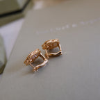 [Star] 2026 NEW LUCKY SPRING EARRINGS