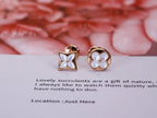 ¡®Star¡¯STAR AND SUN PINK GOLD MOP STUD EARRINGS